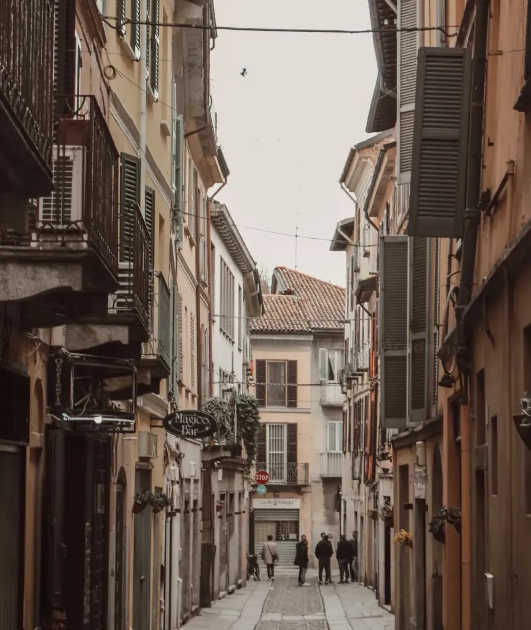 Business Italian for professionals